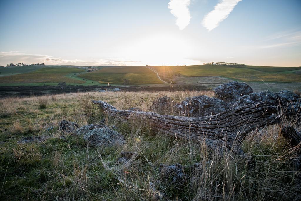 Dragonfly Cottages Ориндж Екстер'єр фото